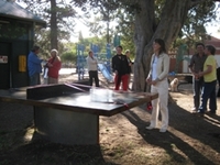 - Port Phillip - ping pong in the park